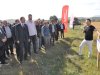 Yerli çeşit çeltikler tanıtıldı 