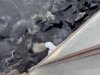 Bozcaada Belediyesi’nden ceza açıklaması