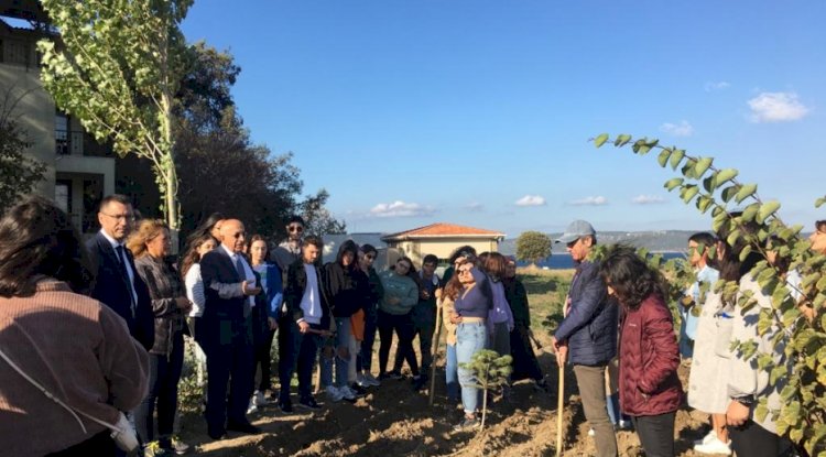 400 adet lale soğanı ekimi yapıldı