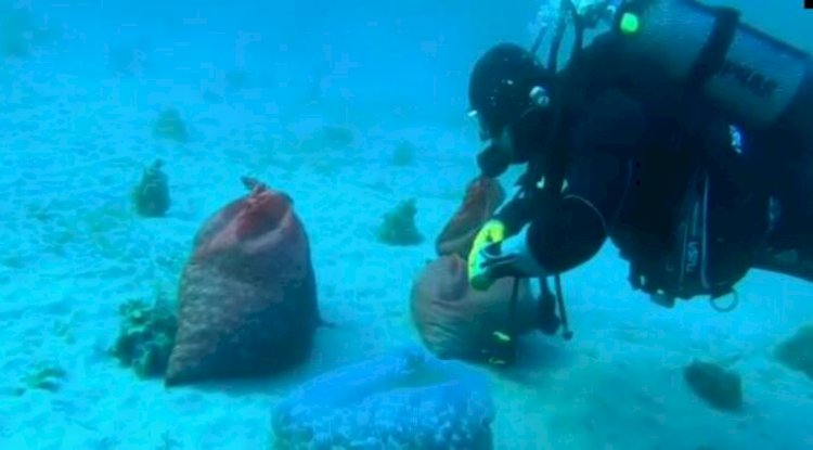 Kaçak akivades avcılığına suçüstü 