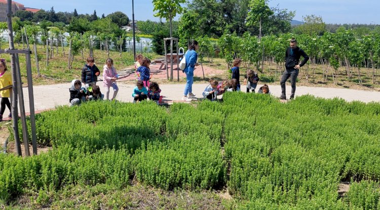Tıbbi Bitkiler Parkına Ziyaretçi Akını