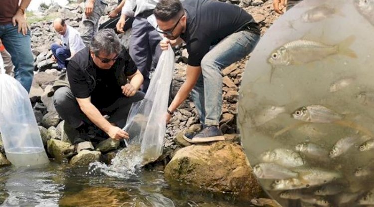 Göletlerde balıklandırma çalışmaları sürüyor