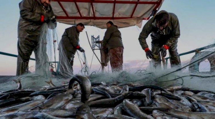 Başvurular 16 Şubat’ta sona erecek