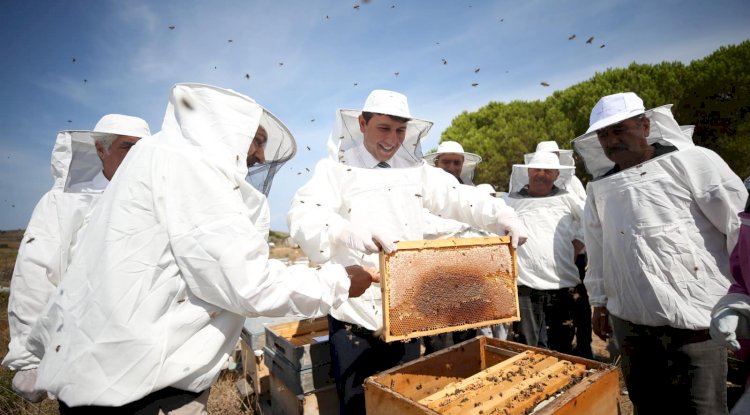 Bal hasadı yapıldı