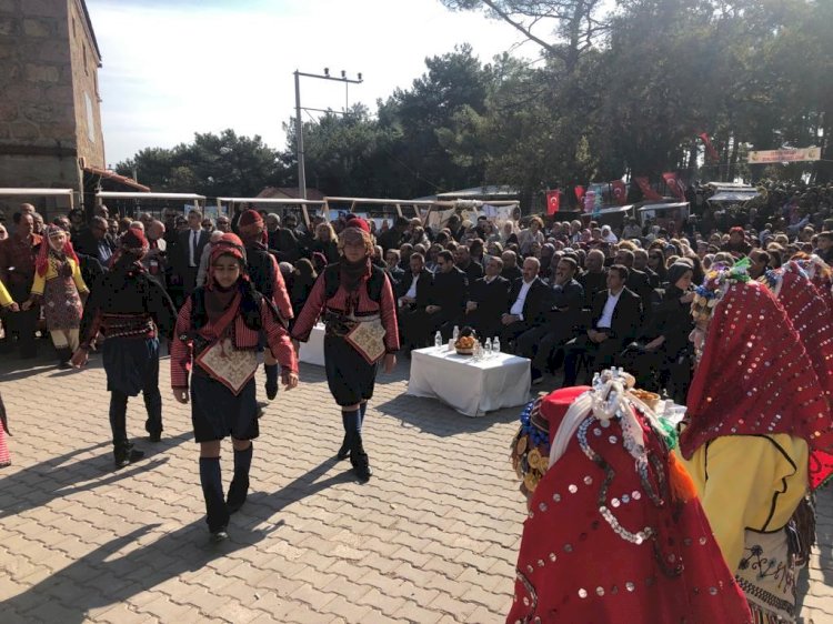 Ahmetçe Köyü’nde Zeytin Hasat Şenliği 