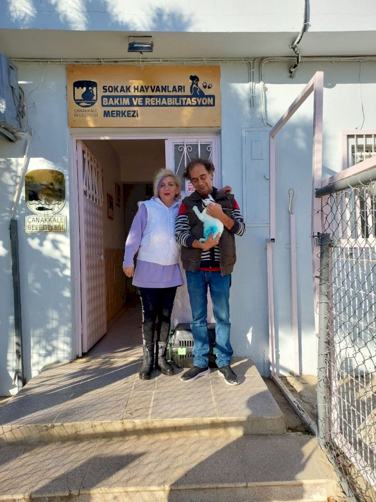 Yeni yuvalarına kavuştular