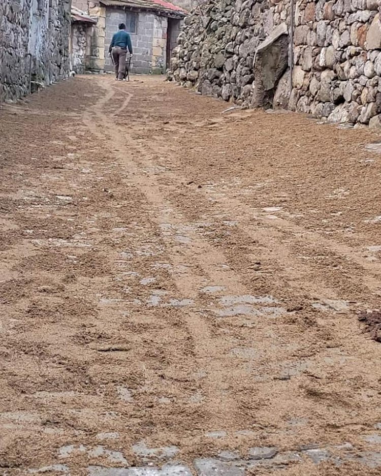 “Köyümüze hayırlı olsun”