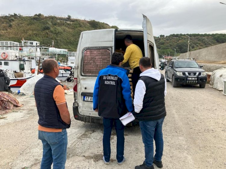 Su ürünleri denetimi