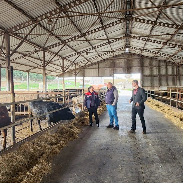 Türkarslan Ezine’deydi