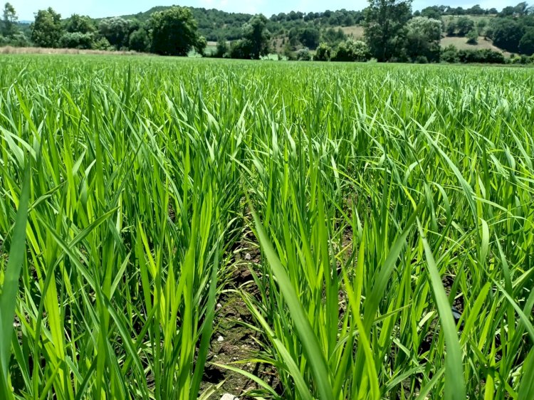 Üreticilere proje için ön talep duyurusu
