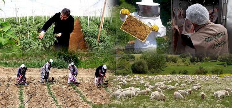 Kırsalda üretici IPARD kapsamında destekleniyor