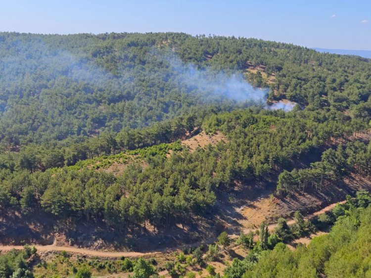 Türkarslan’dan tesis incelemesi