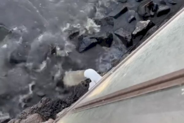 Bozcaada Belediyesi’nden ceza açıklaması