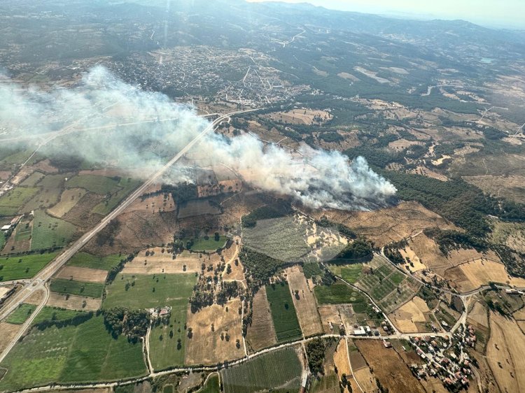 Orman yangınında 11 hektar alan zarar gördü