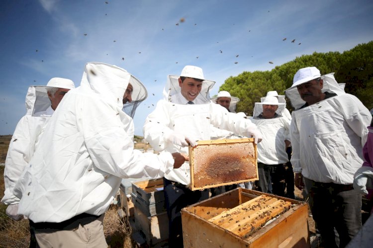 Bal hasadı yapıldı